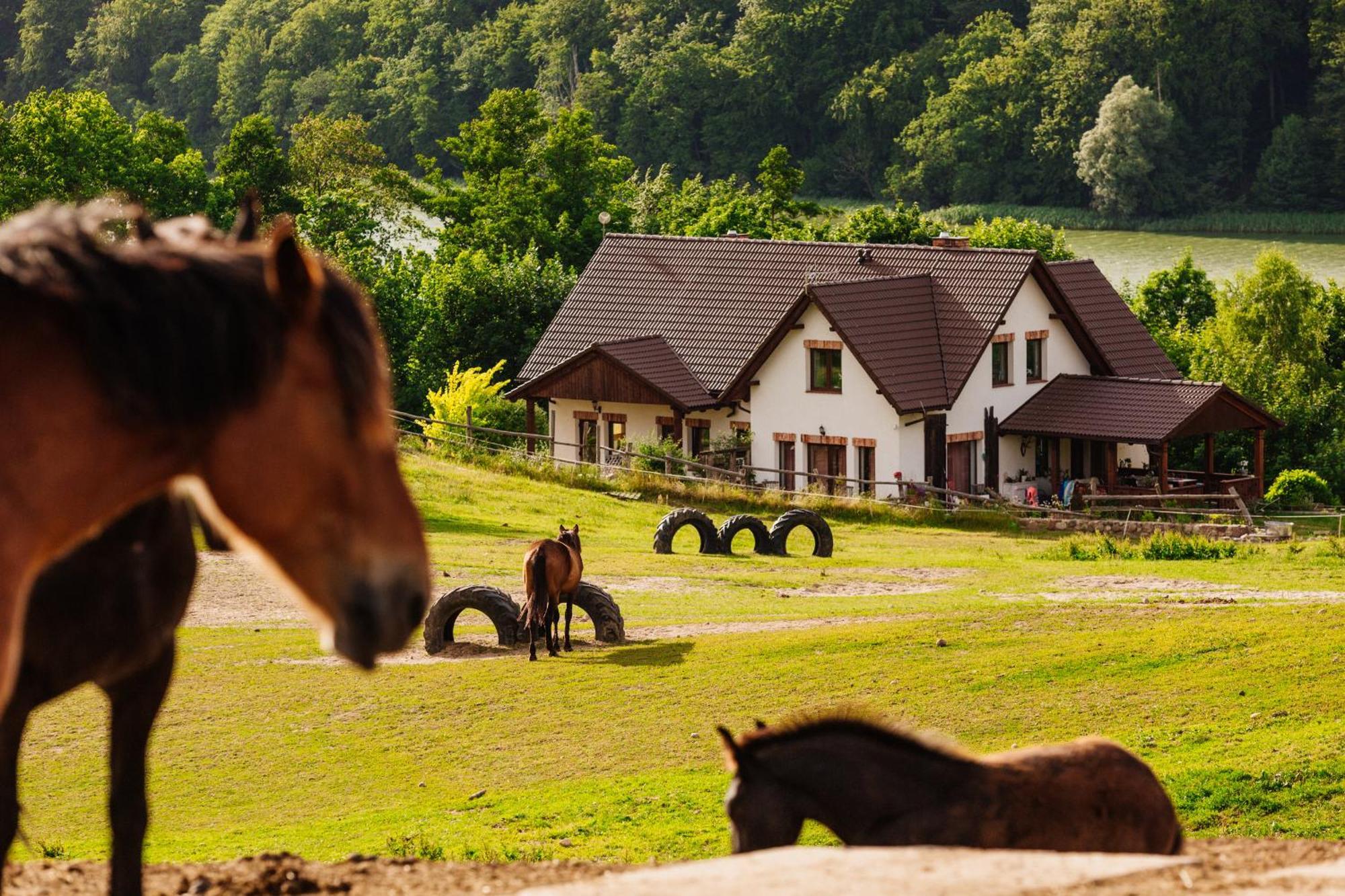 Apartment Na Pastwisku Szymbark (Pomerania)